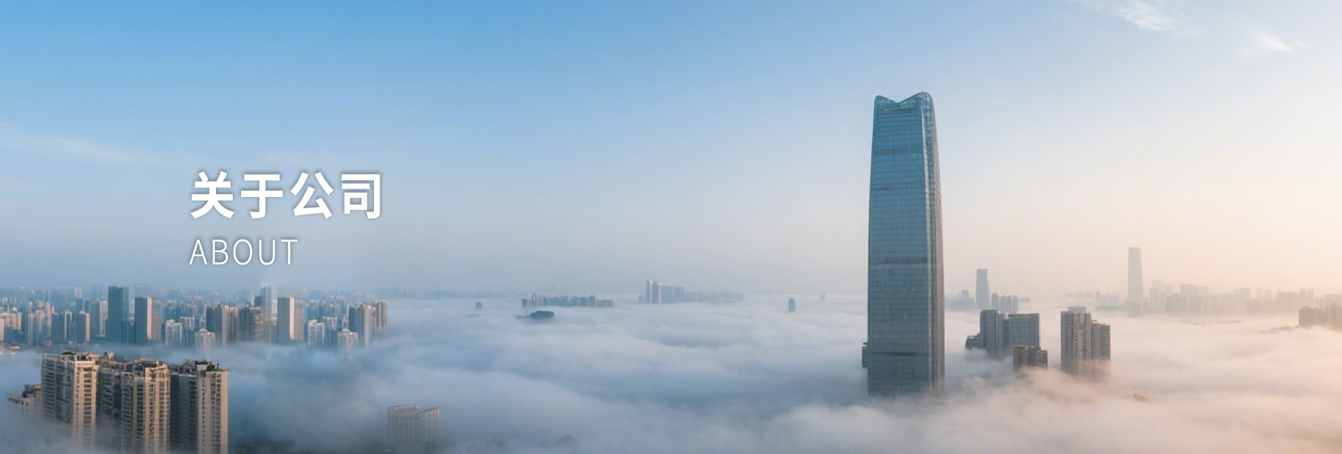 关于公司